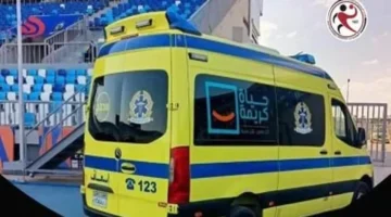 اتحاد اليد يلزم الأندية بضوابط طبية صارمة وتوفير سيارة إسعاف مجهزة للسلامة الرياضية 1